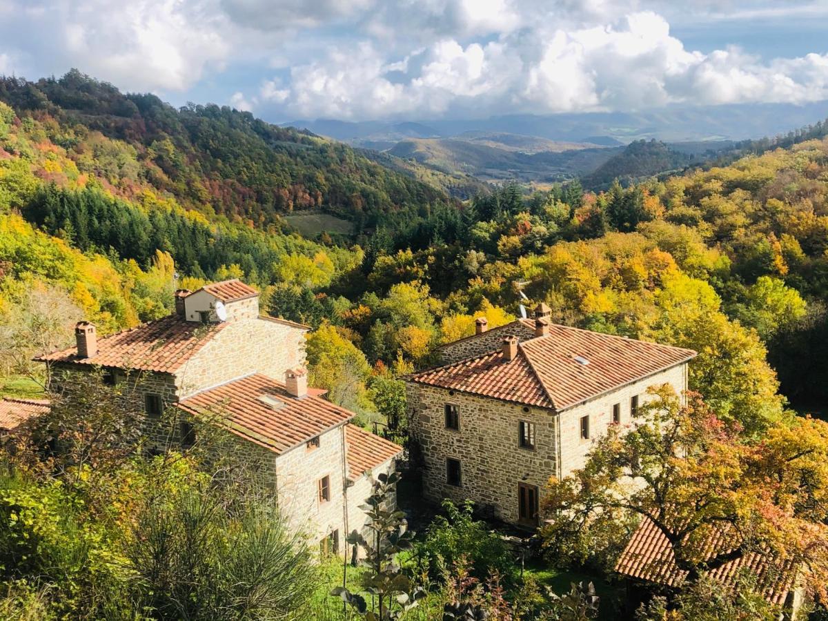 Bio Agriturismo Il Vigno Caprese Michelangelo Bagian luar foto