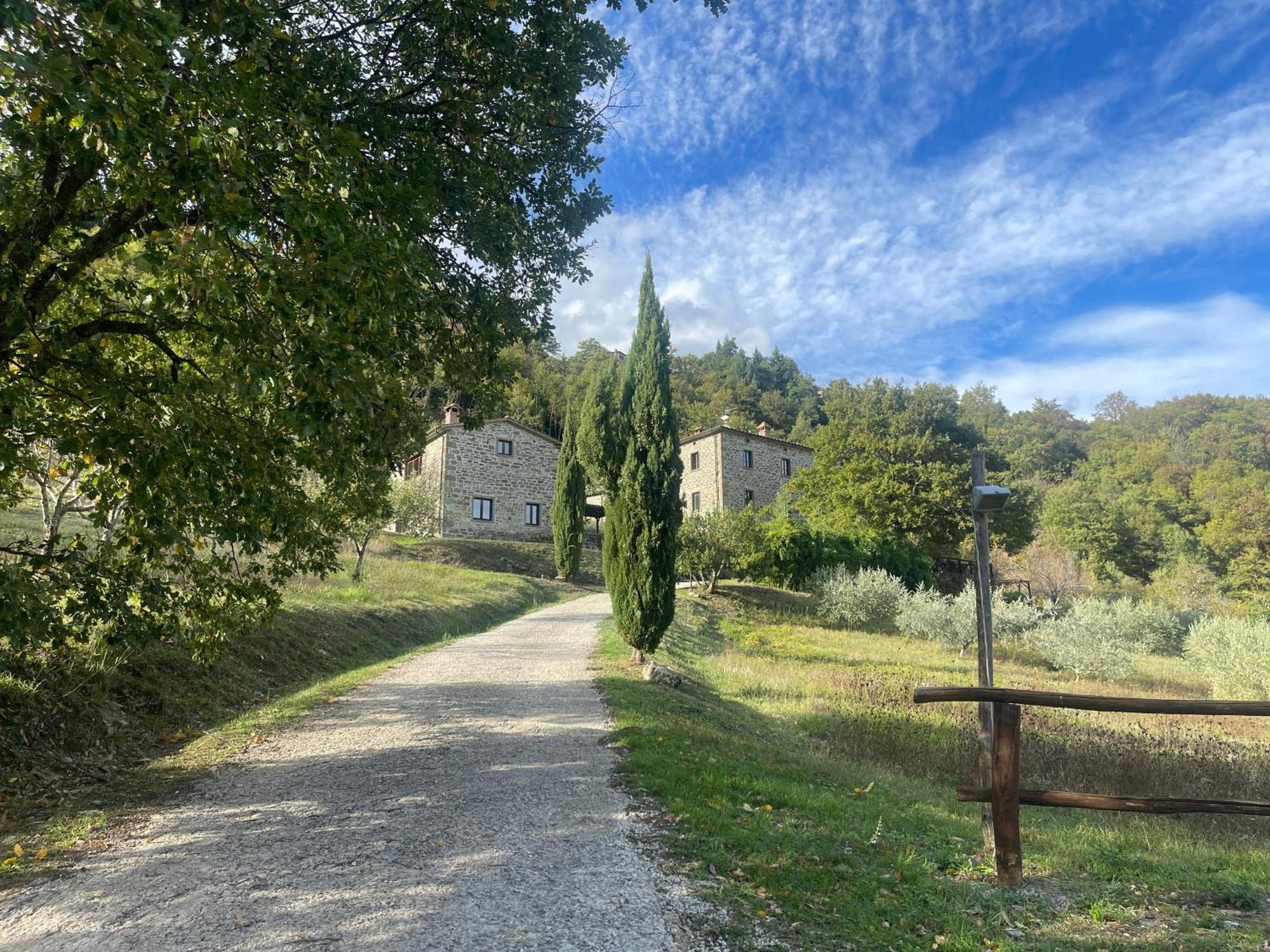 Bio Agriturismo Il Vigno Caprese Michelangelo Bagian luar foto