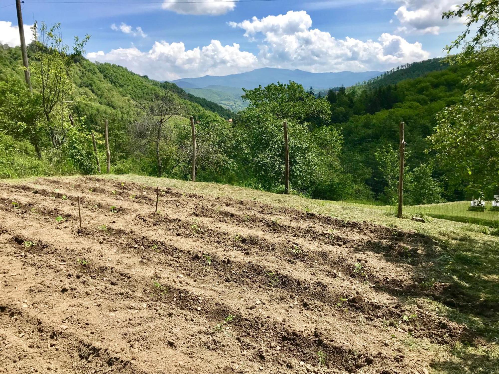 Bio Agriturismo Il Vigno Caprese Michelangelo Bagian luar foto