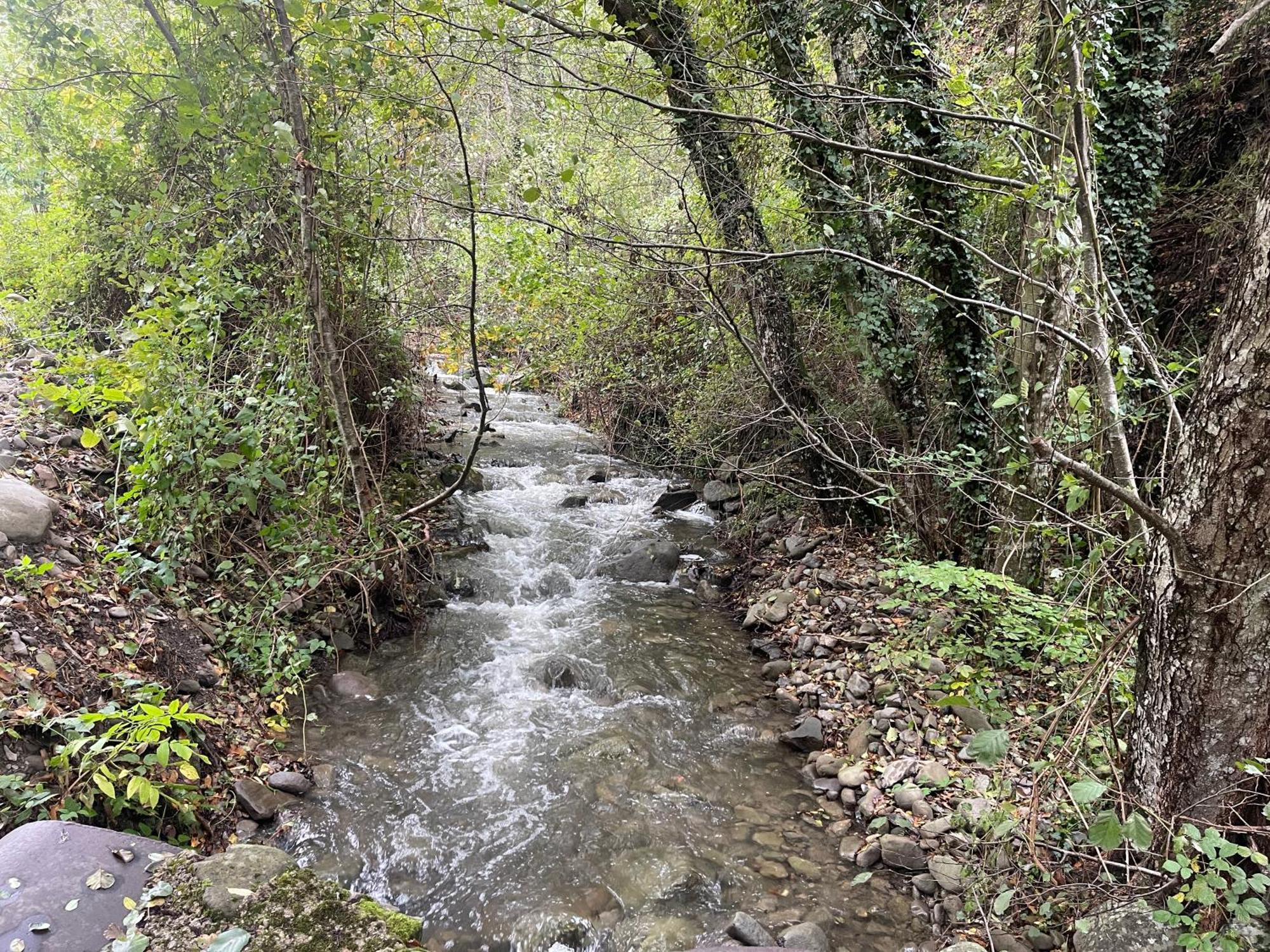 Bio Agriturismo Il Vigno Caprese Michelangelo Bagian luar foto