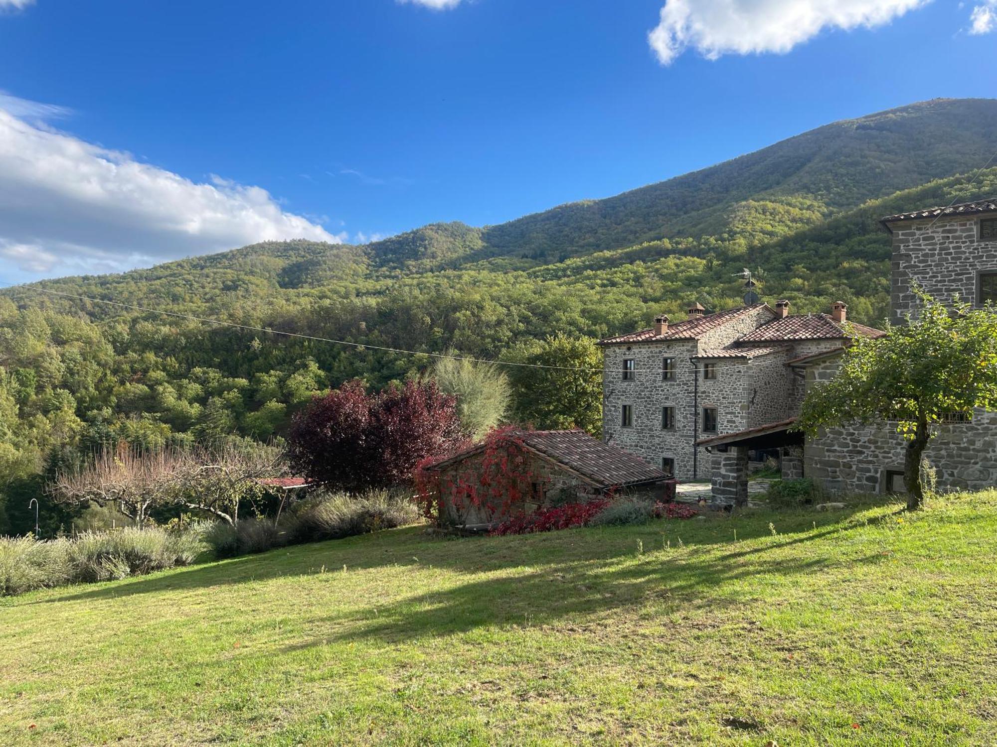 Bio Agriturismo Il Vigno Caprese Michelangelo Bagian luar foto