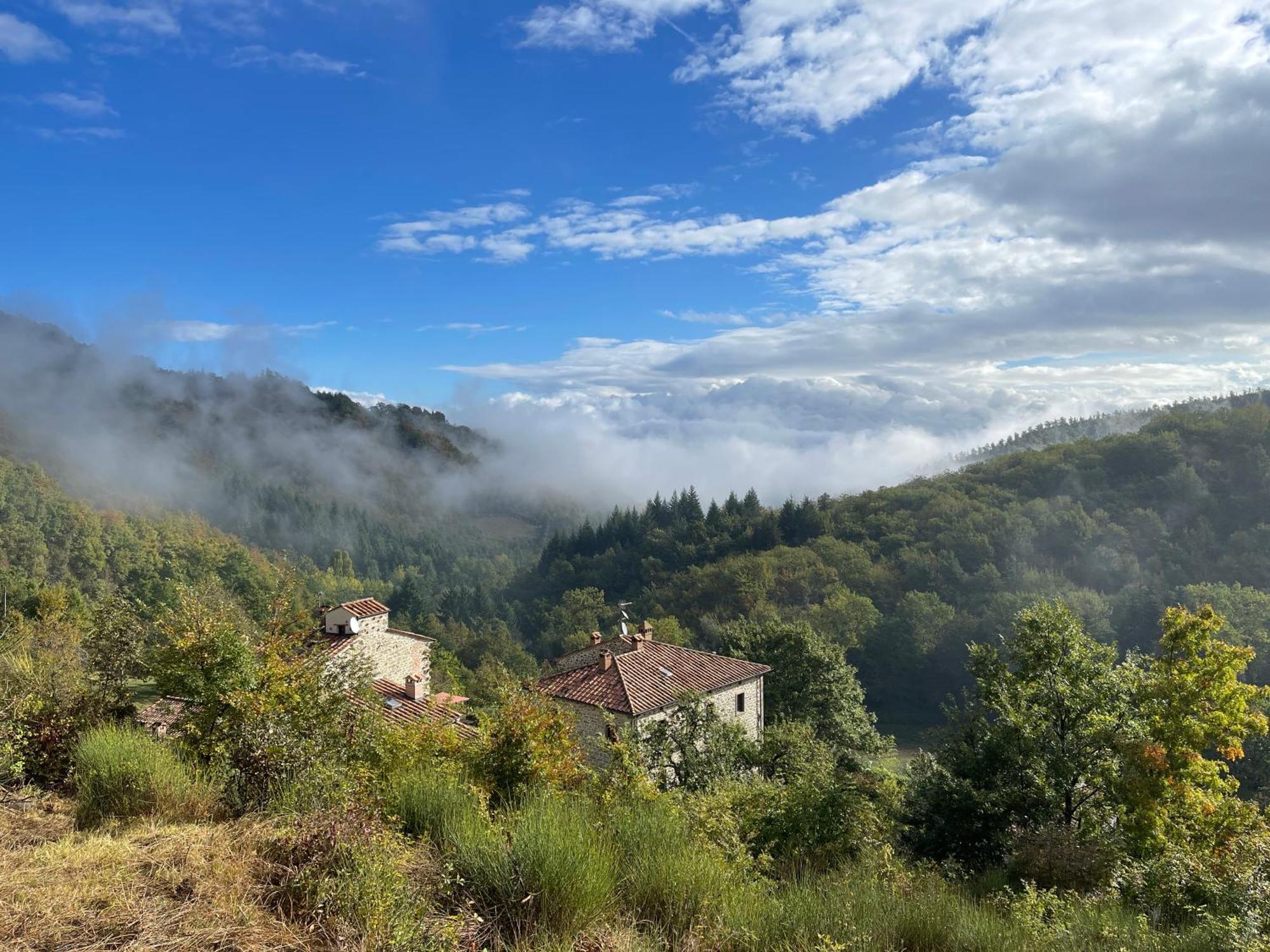 Bio Agriturismo Il Vigno Caprese Michelangelo Bagian luar foto