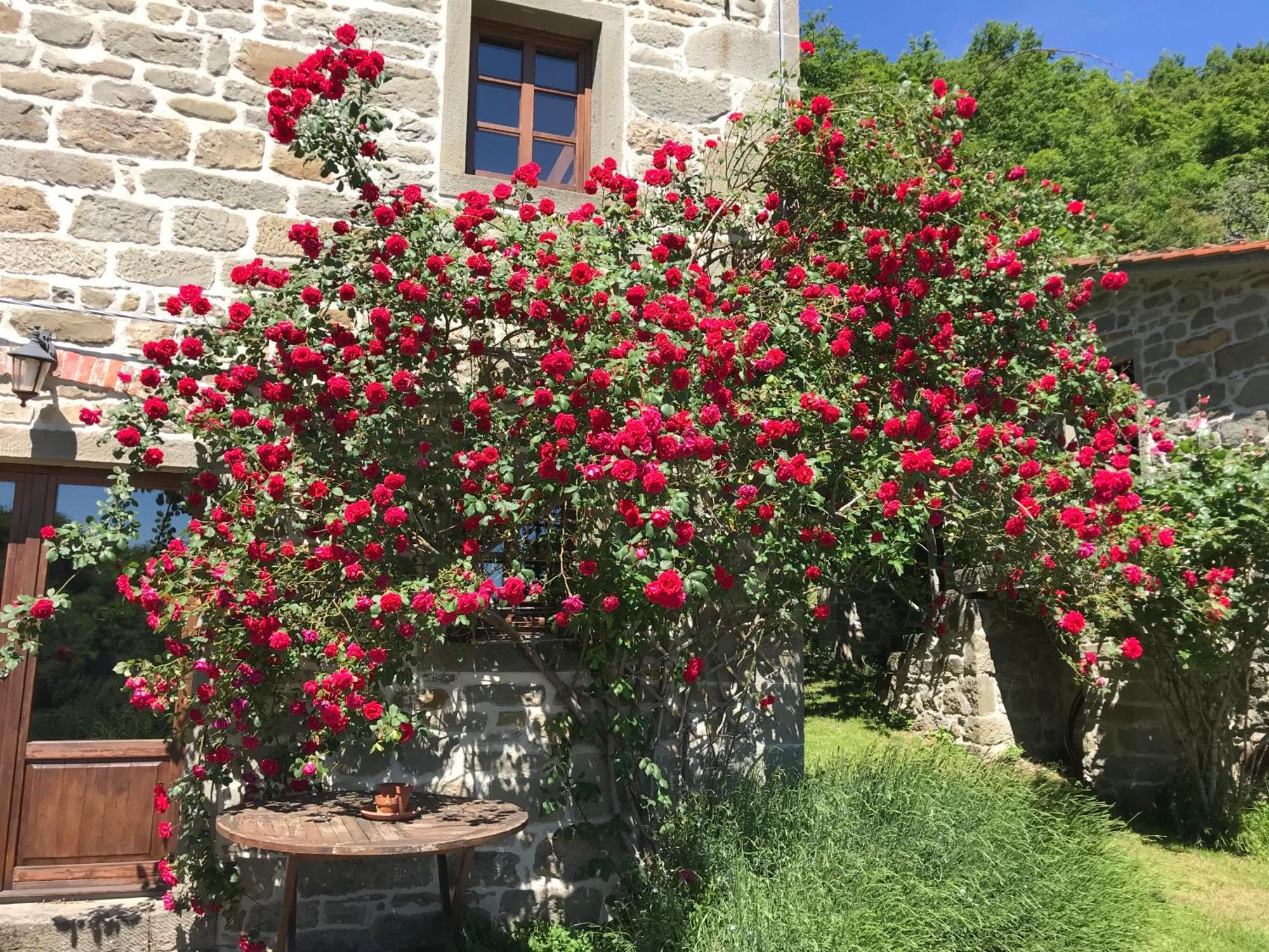Bio Agriturismo Il Vigno Caprese Michelangelo Bagian luar foto