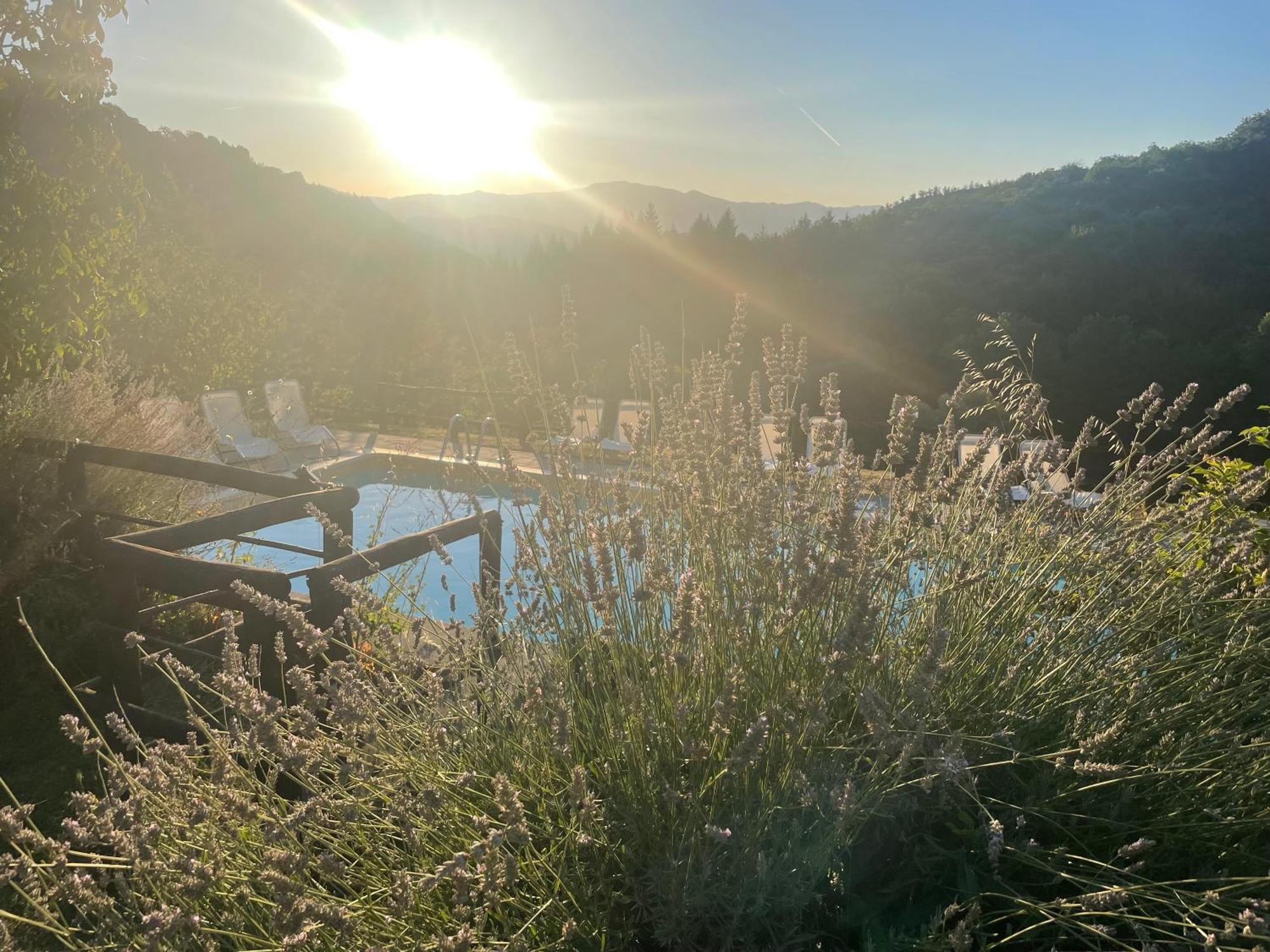 Bio Agriturismo Il Vigno Caprese Michelangelo Bagian luar foto