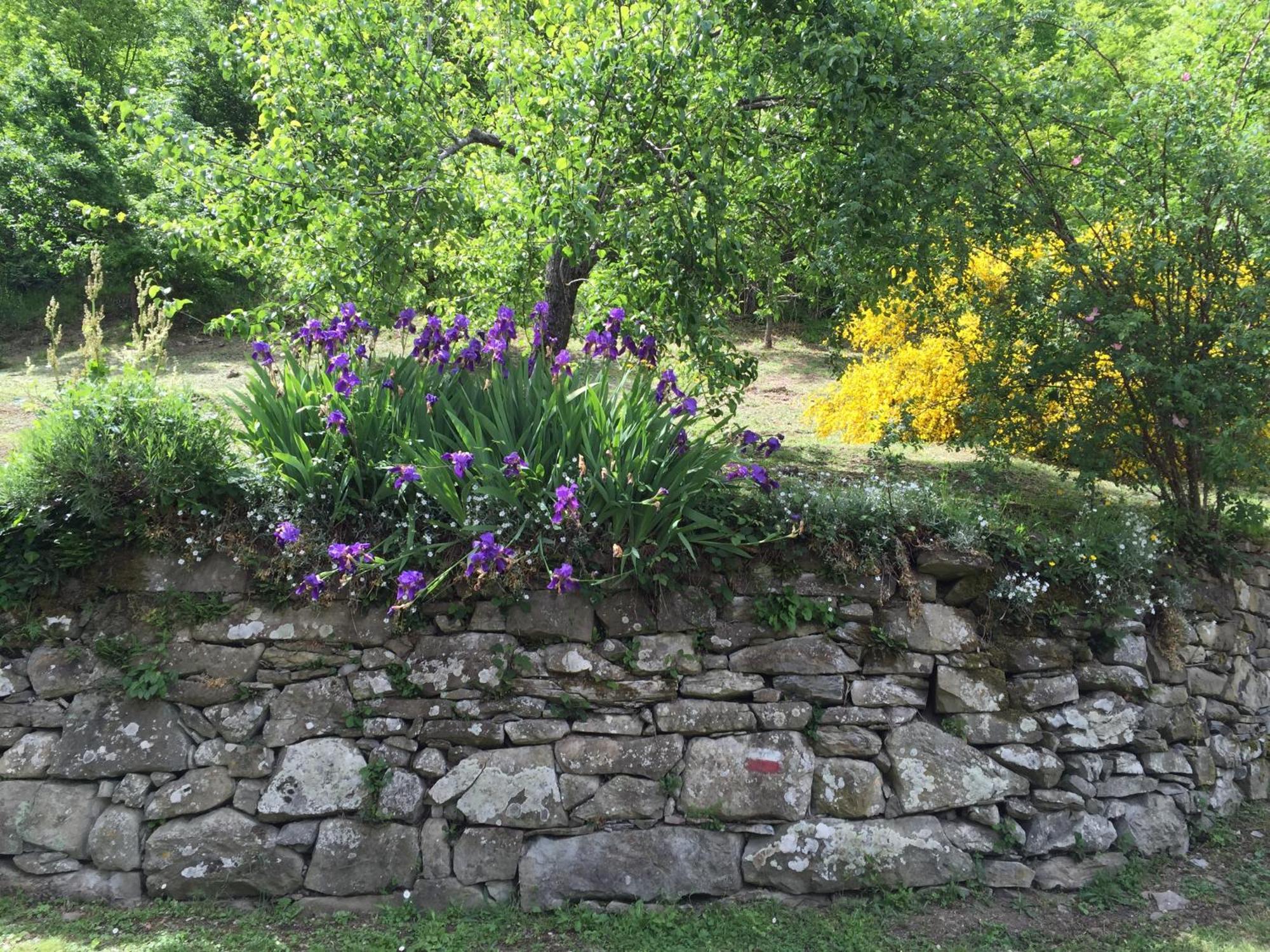 Bio Agriturismo Il Vigno Caprese Michelangelo Bagian luar foto
