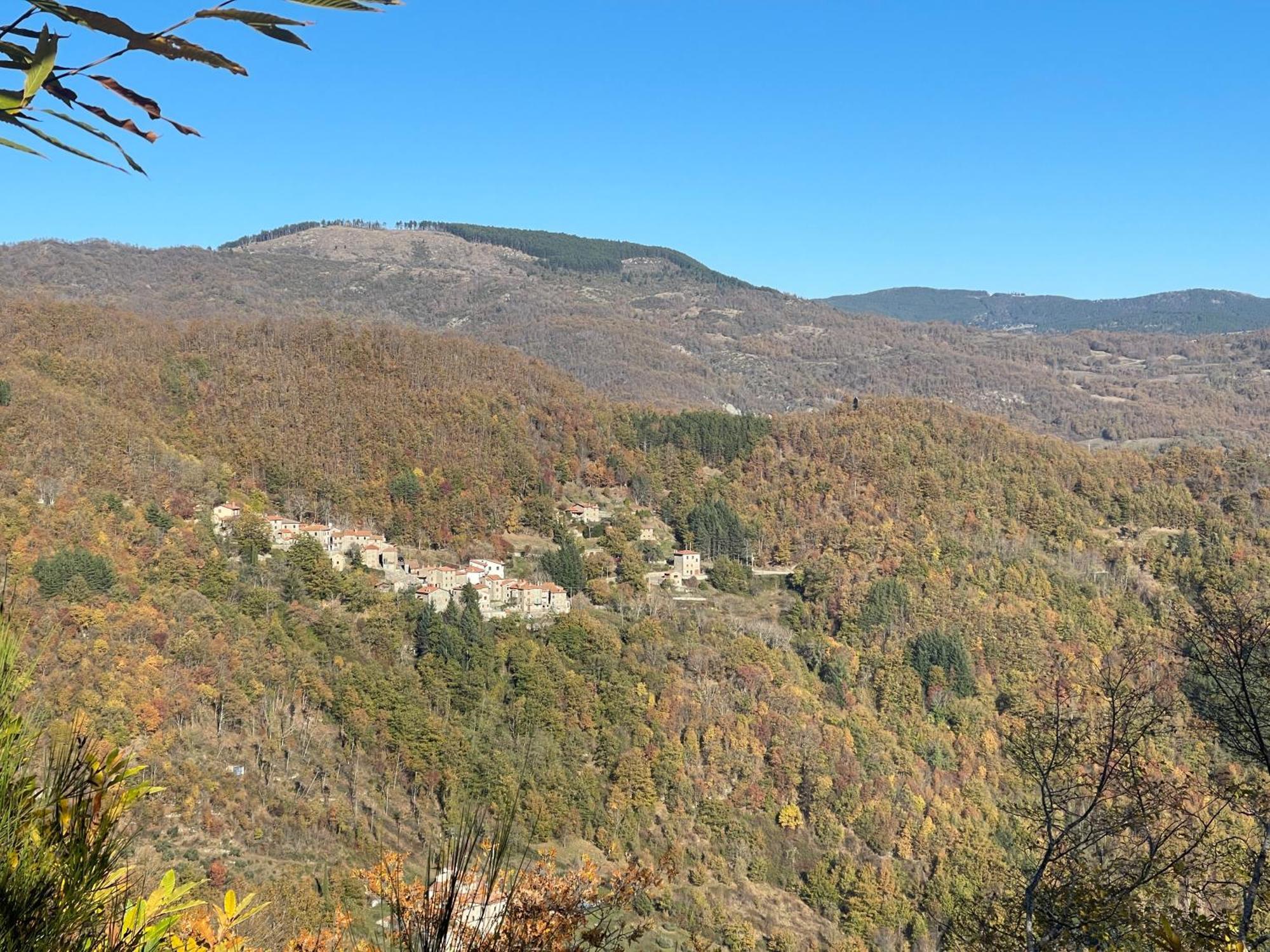 Bio Agriturismo Il Vigno Caprese Michelangelo Bagian luar foto