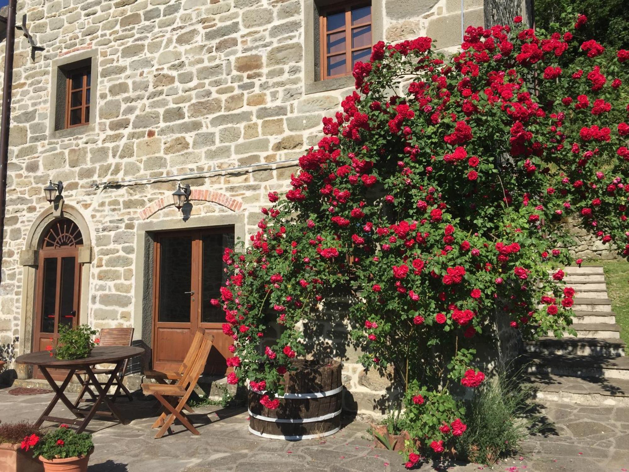 Bio Agriturismo Il Vigno Caprese Michelangelo Bagian luar foto