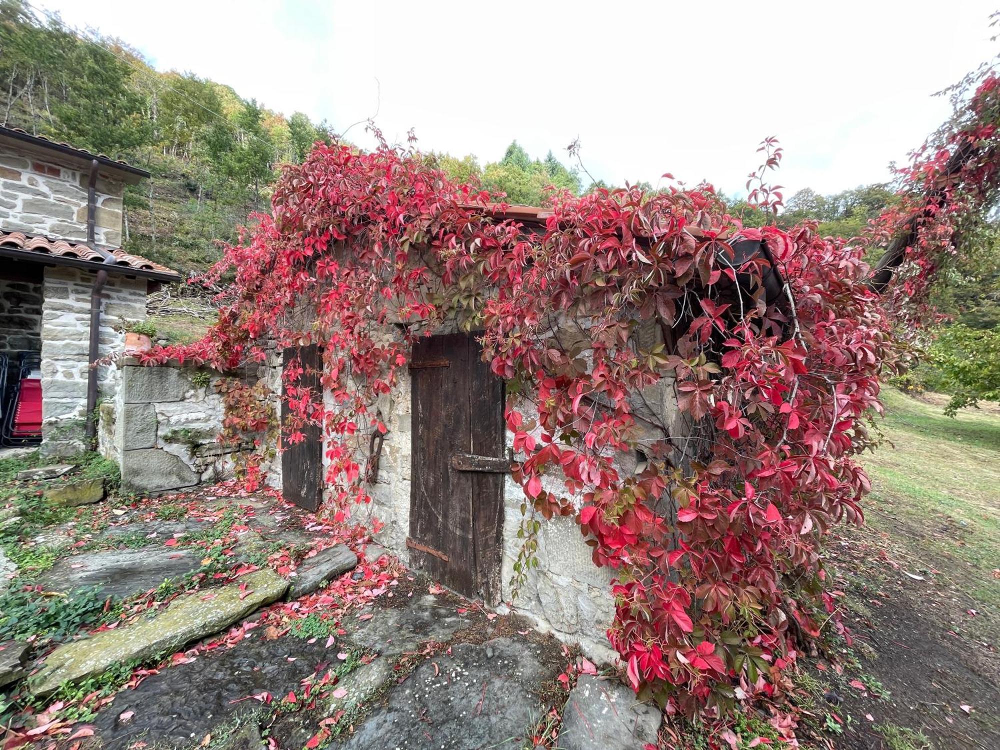 Bio Agriturismo Il Vigno Caprese Michelangelo Bagian luar foto